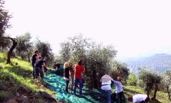 PICT0867